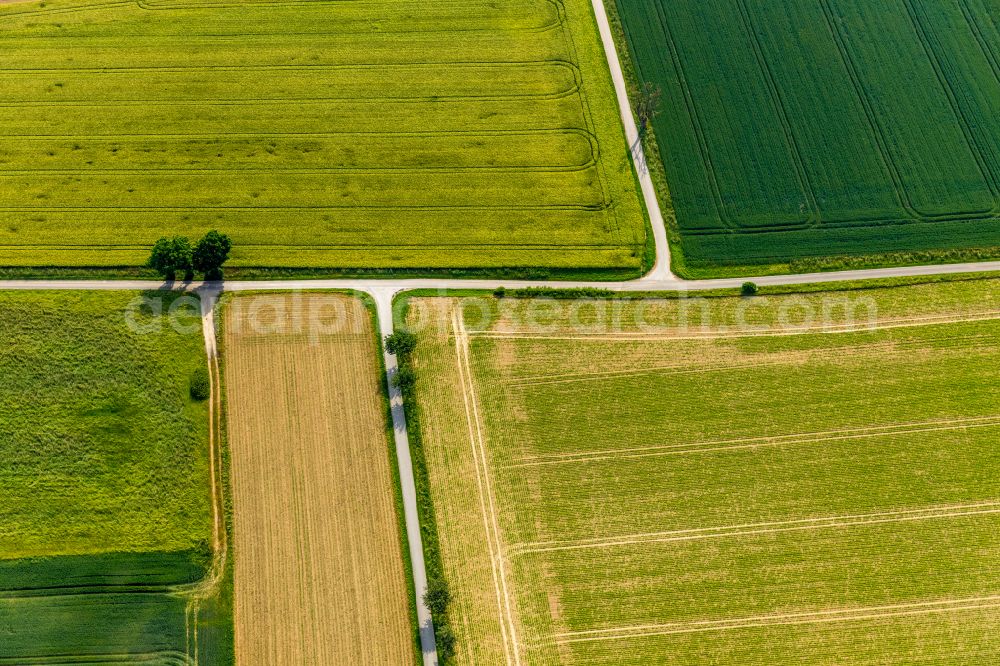 Ampen from the bird's eye view: Structures on agricultural fields in Ampen at Ruhrgebiet in the state North Rhine-Westphalia, Germany