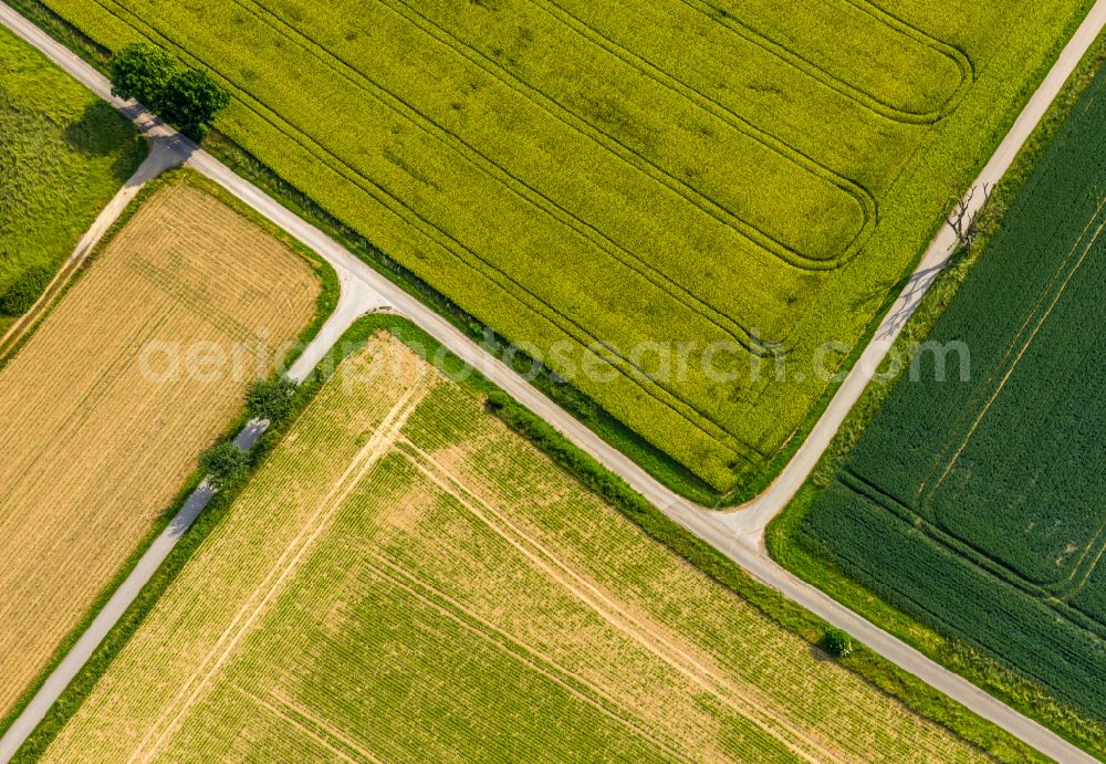 Aerial photograph Ampen - Structures on agricultural fields in Ampen at Ruhrgebiet in the state North Rhine-Westphalia, Germany