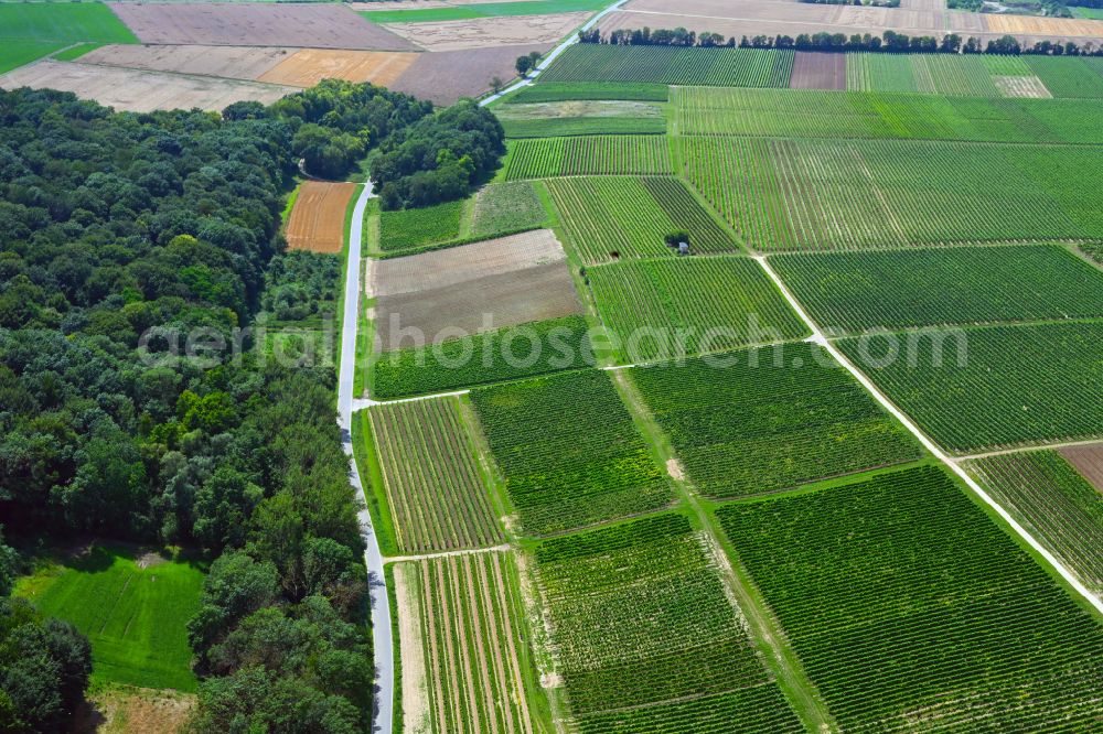 Appenheim from the bird's eye view: Structures on agricultural fields on street K14 in the district Kolonie in Appenheim in the state Rhineland-Palatinate, Germany