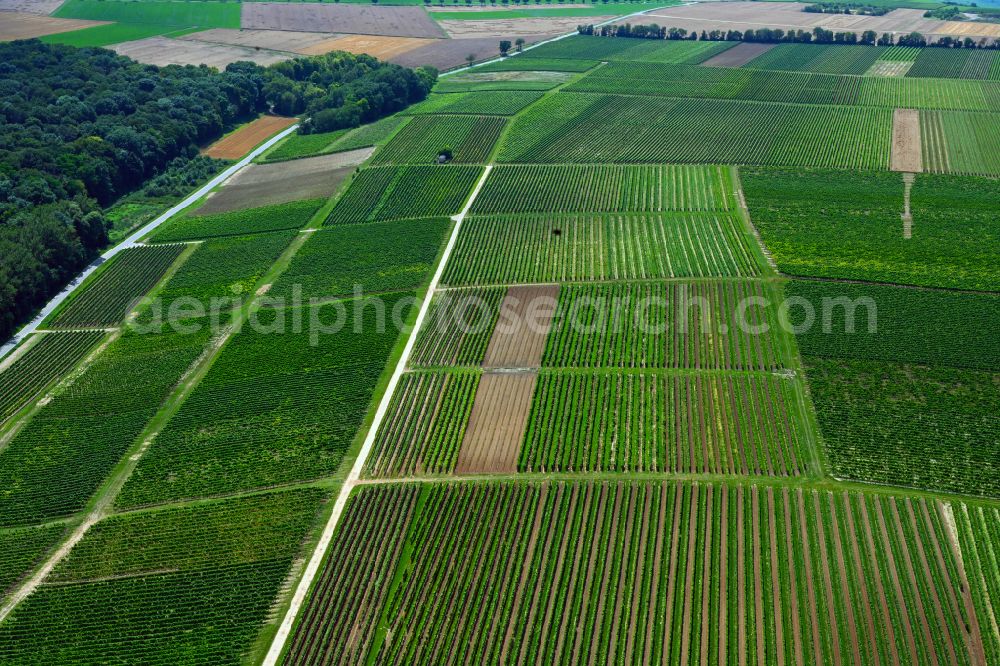 Aerial image Appenheim - Structures on agricultural fields on street K14 in the district Kolonie in Appenheim in the state Rhineland-Palatinate, Germany