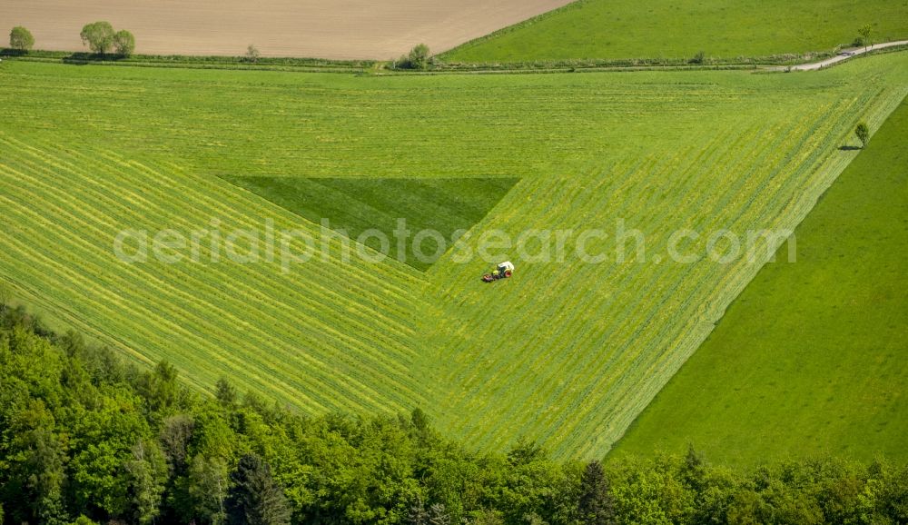 Aerial photograph Arnsberg - Structures on agricultural fields in Arnsberg in the state North Rhine-Westphalia