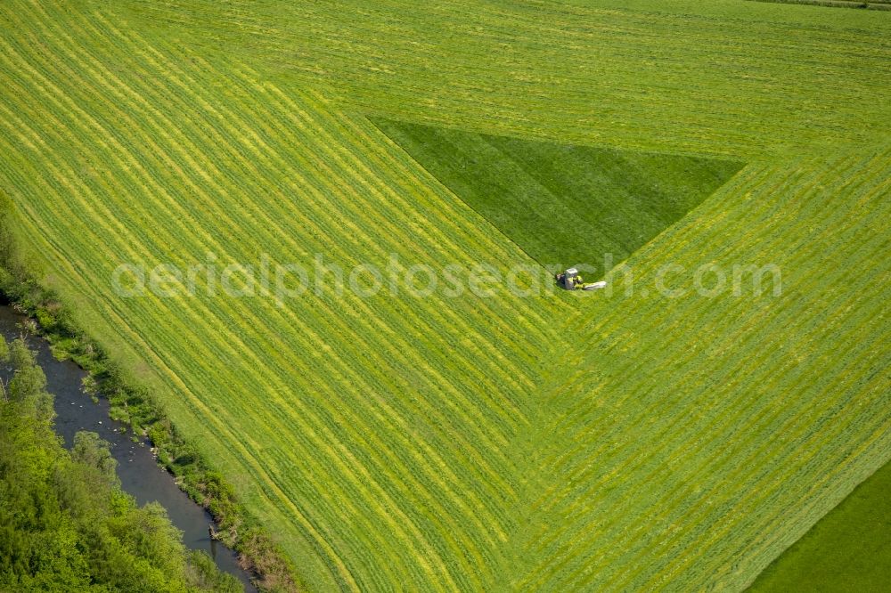 Arnsberg from above - Structures on agricultural fields in Arnsberg in the state North Rhine-Westphalia