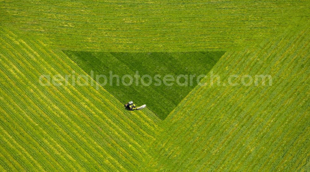 Arnsberg from the bird's eye view: Structures on agricultural fields in Arnsberg in the state North Rhine-Westphalia