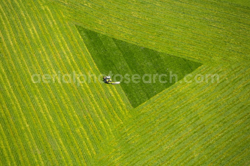 Aerial image Arnsberg - Structures on agricultural fields in Arnsberg in the state North Rhine-Westphalia