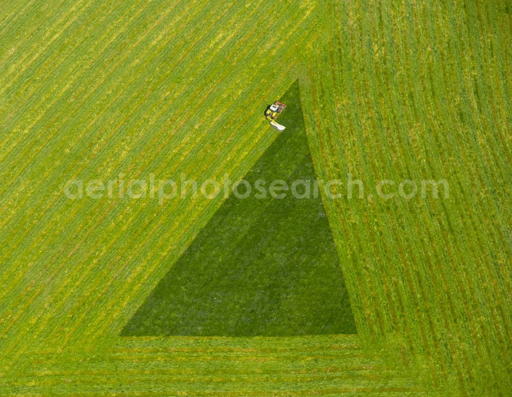 Aerial photograph Arnsberg - Structures on agricultural fields in Arnsberg in the state North Rhine-Westphalia