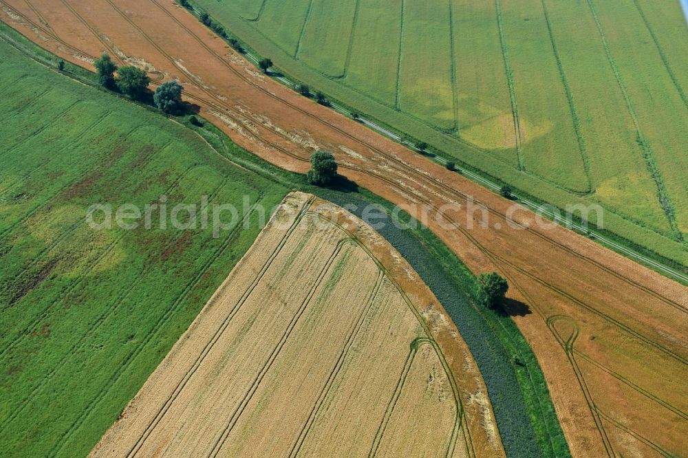 Athenstedt from above - Structures on agricultural fields in Athenstedt in the state Saxony-Anhalt, Germany