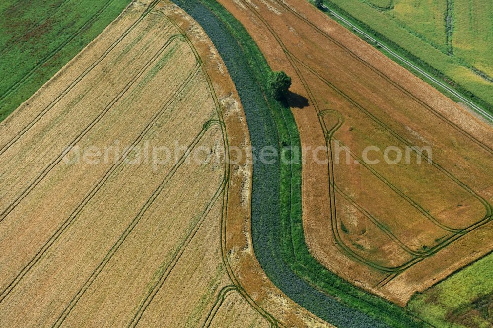 Athenstedt from the bird's eye view: Structures on agricultural fields in Athenstedt in the state Saxony-Anhalt, Germany