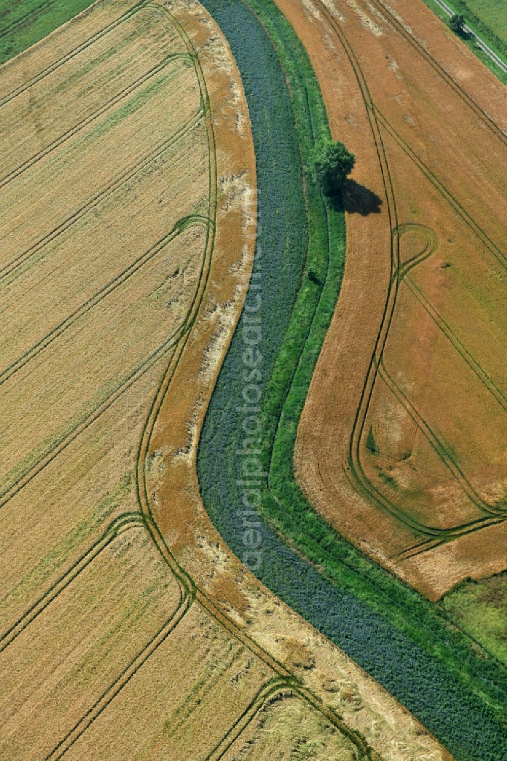 Aerial image Athenstedt - Structures on agricultural fields in Athenstedt in the state Saxony-Anhalt, Germany