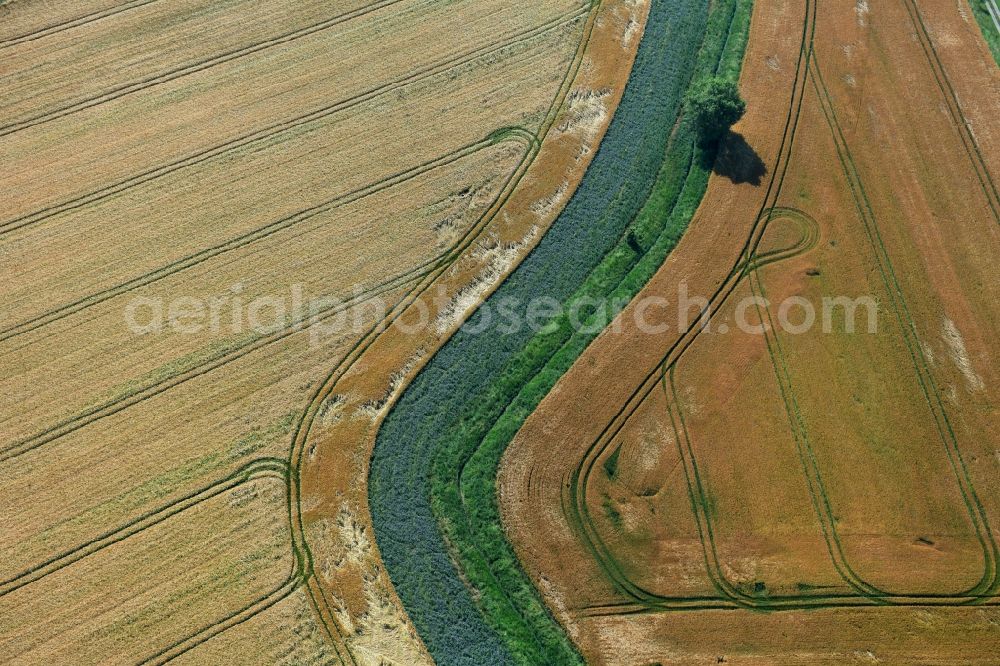 Aerial photograph Athenstedt - Structures on agricultural fields in Athenstedt in the state Saxony-Anhalt, Germany