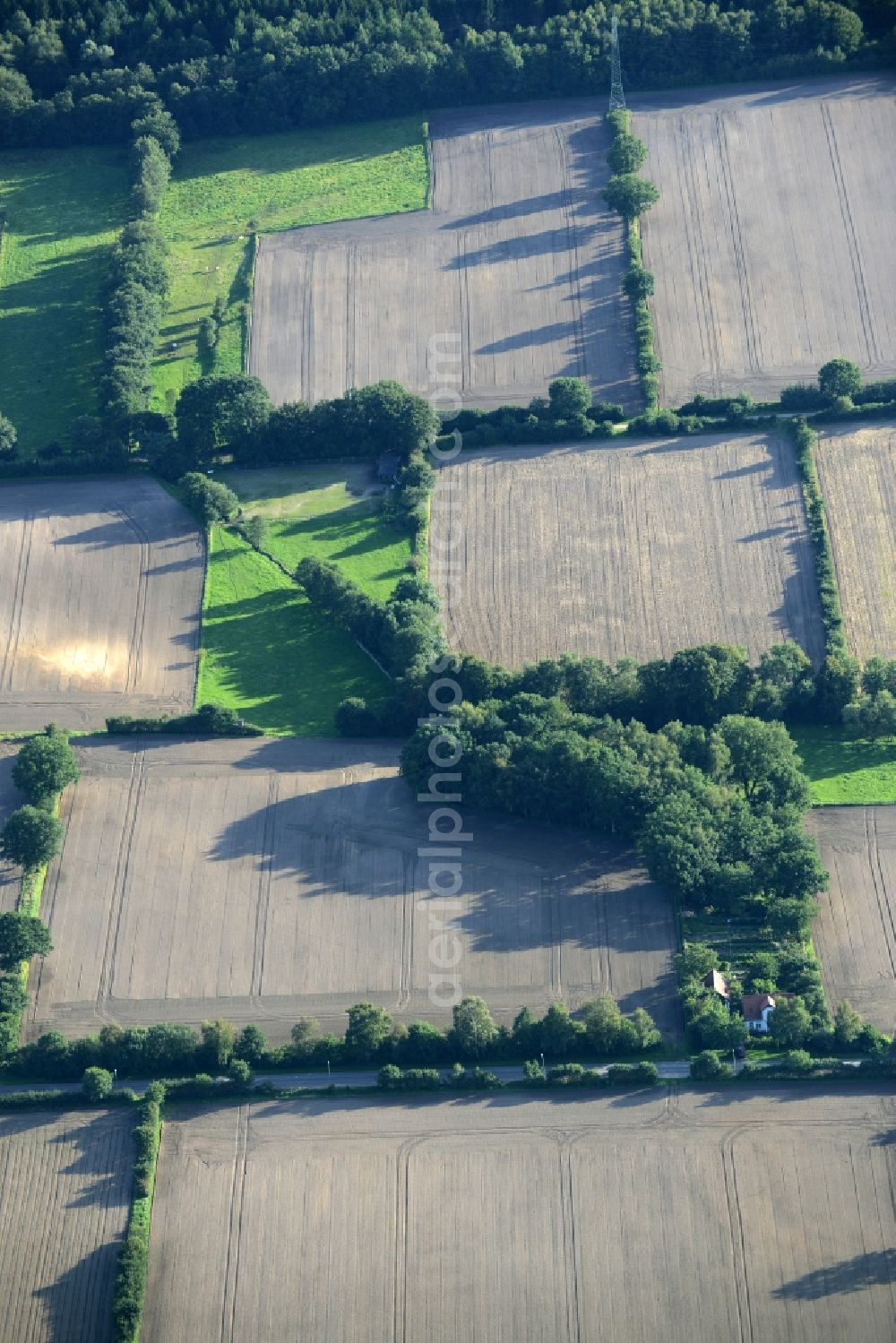 Aerial photograph Barsbüttel - Structures on agricultural fields in Barsbuettel in the state Schleswig-Holstein