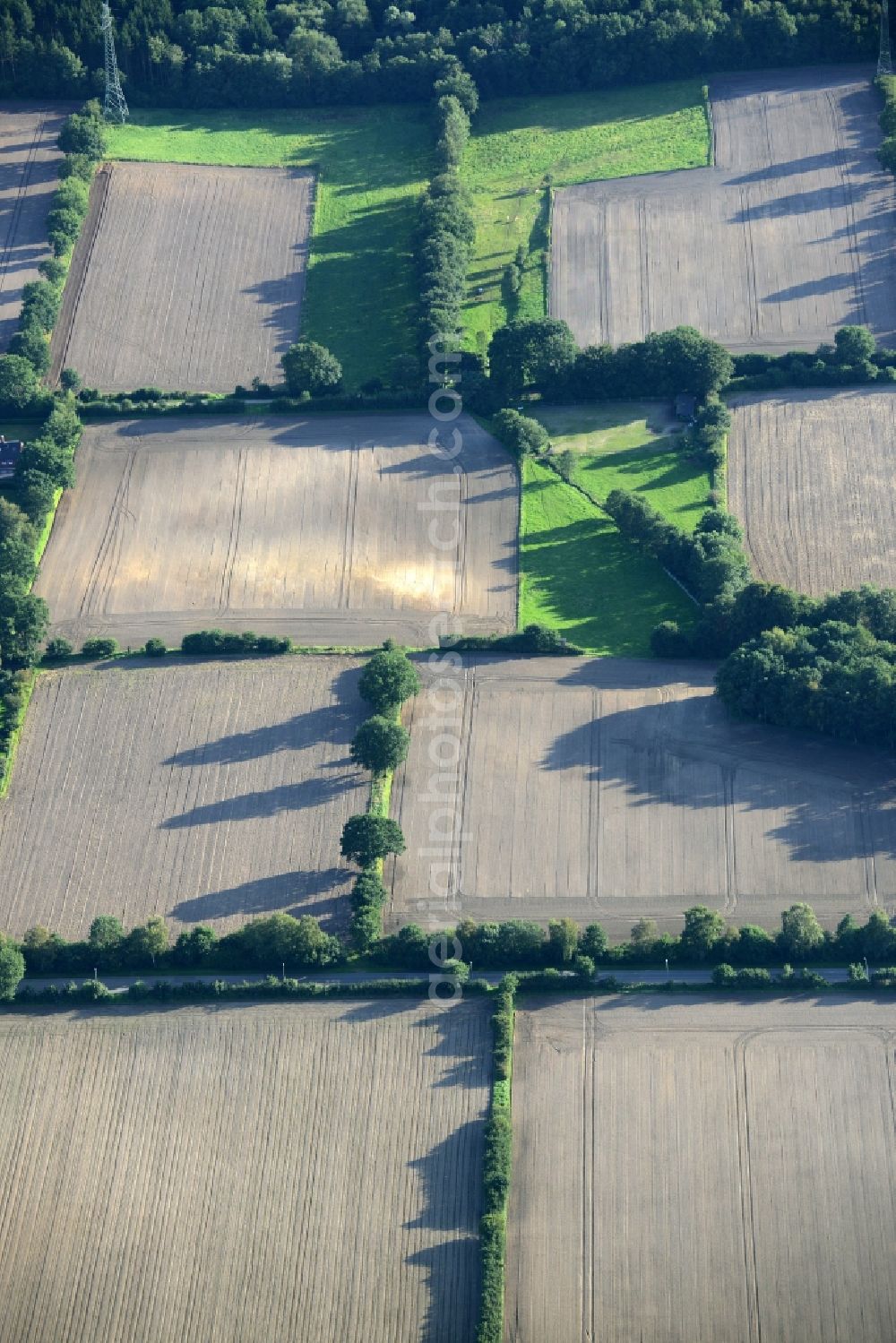 Barsbüttel from above - Structures on agricultural fields in Barsbuettel in the state Schleswig-Holstein