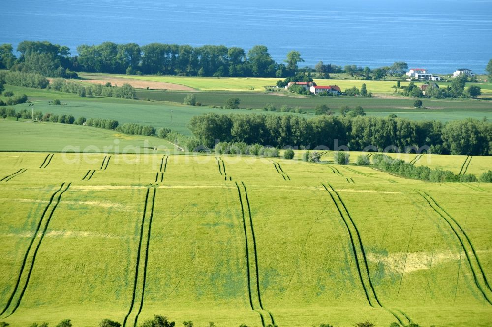 Aerial photograph Bastorf - Structures on agricultural fields in Bastorf in the state Mecklenburg - Western Pomerania, Germany