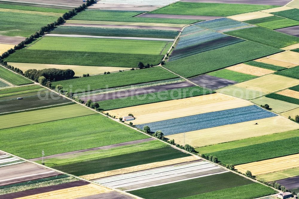 Gundelfingen an der Donau from above - Structures on agricultural fields in in the state Bavaria, Germany