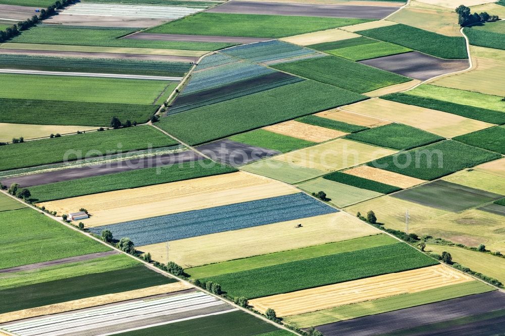 Gundelfingen an der Donau from the bird's eye view: Structures on agricultural fields in in the state Bavaria, Germany