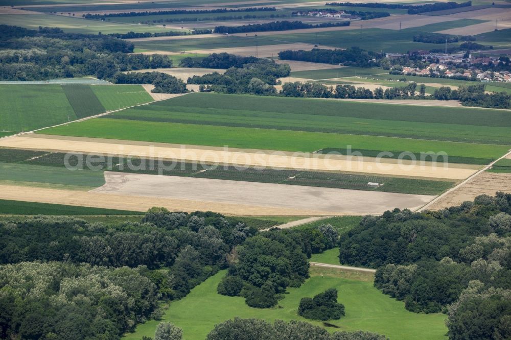 Aerial image Mannsdorf an der Donau - Structures on agricultural fields at Mannsdorf an der Donau in Lower Austria, Austria