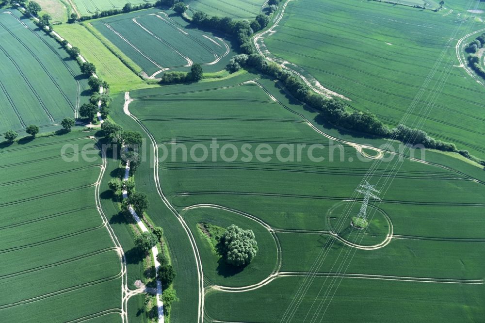 Aerial image Bühnsdorf - Structures on agricultural fields in Buehnsdorf in the state Schleswig-Holstein