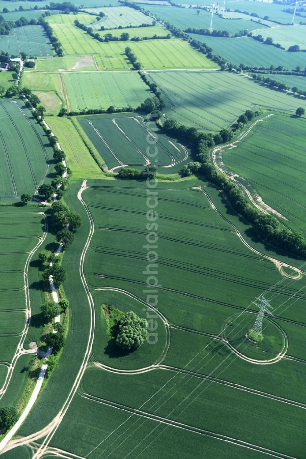 Aerial photograph Bühnsdorf - Structures on agricultural fields in Buehnsdorf in the state Schleswig-Holstein