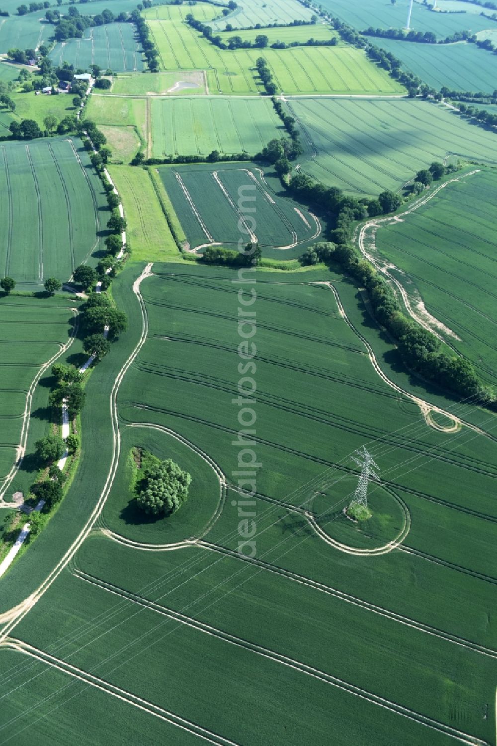 Bühnsdorf from above - Structures on agricultural fields in Buehnsdorf in the state Schleswig-Holstein