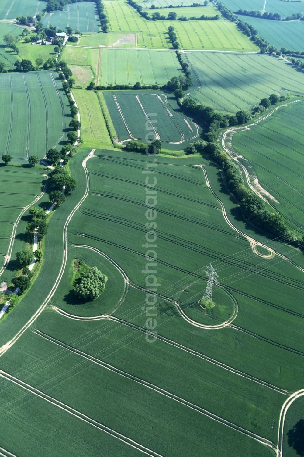 Bühnsdorf from the bird's eye view: Structures on agricultural fields in Buehnsdorf in the state Schleswig-Holstein