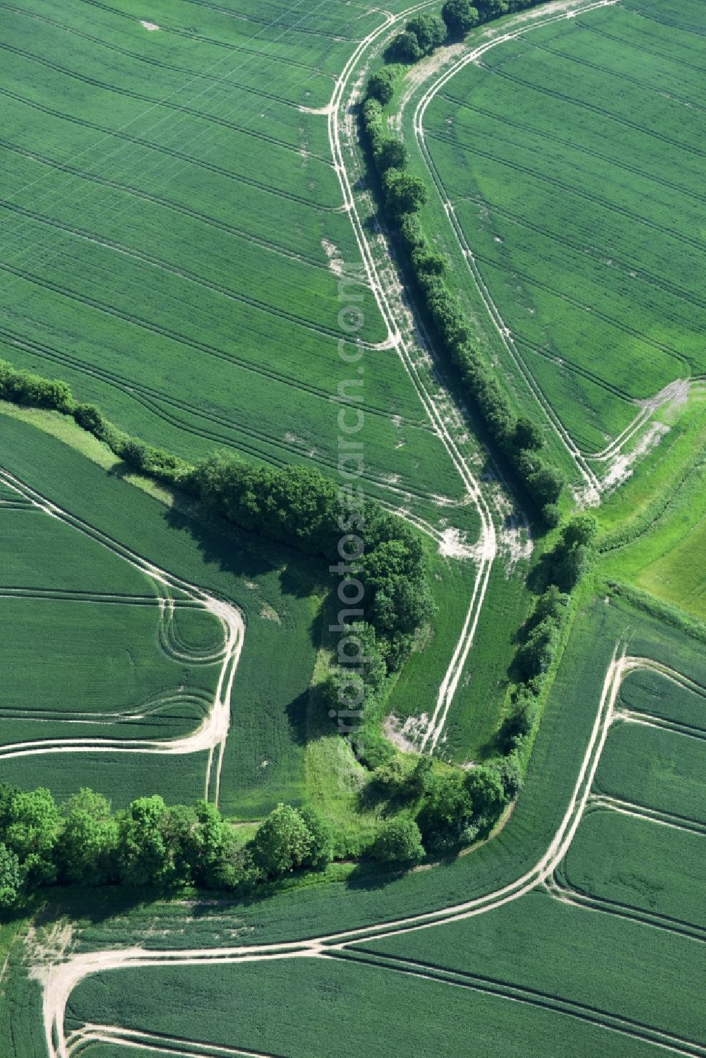 Aerial image Bühnsdorf - Structures on agricultural fields in Buehnsdorf in the state Schleswig-Holstein