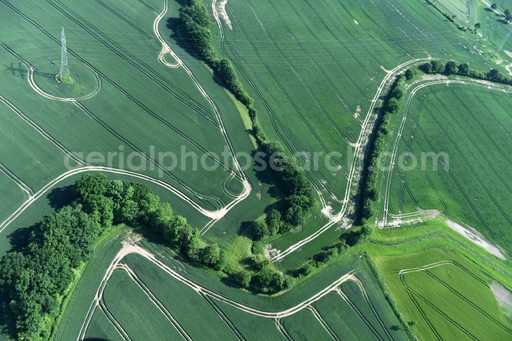 Aerial photograph Bühnsdorf - Structures on agricultural fields in Buehnsdorf in the state Schleswig-Holstein