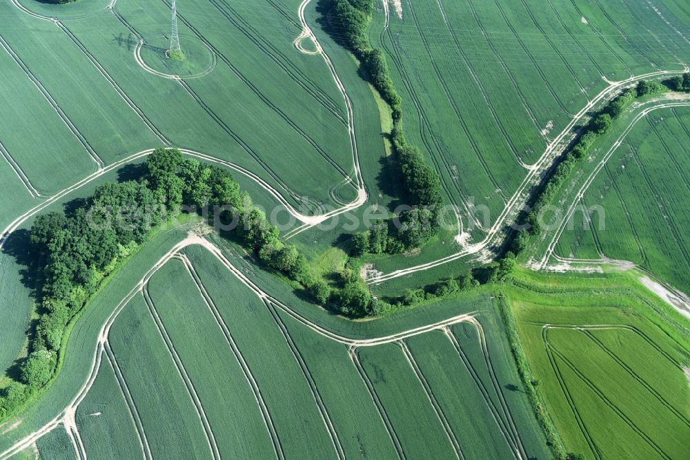 Bühnsdorf from above - Structures on agricultural fields in Buehnsdorf in the state Schleswig-Holstein