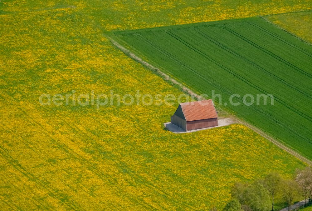 Aerial photograph Brilon - Structures on agricultural fields in Brilon at Sauerland in the state North Rhine-Westphalia, Germany