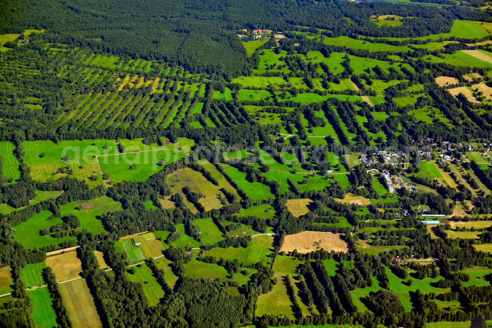 Burg-Kauper from the bird's eye view: Structures on agricultural fields in Burg-Kauper in the state Brandenburg, Germany