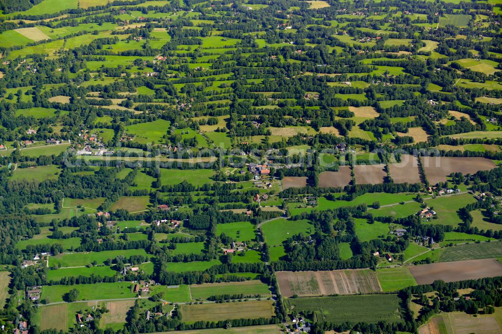 Burg (Spreewald) from above - Structures on agricultural fields in Burg (Spreewald) in the state Brandenburg, Germany