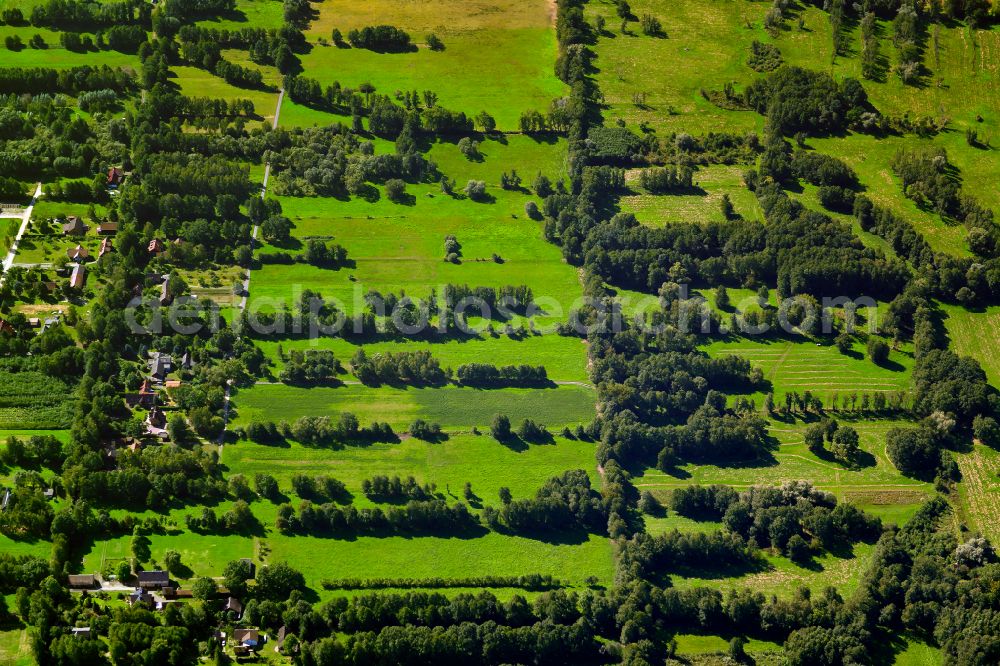 Burg (Spreewald) from above - Structures on agricultural fields in Burg (Spreewald) in the state Brandenburg, Germany