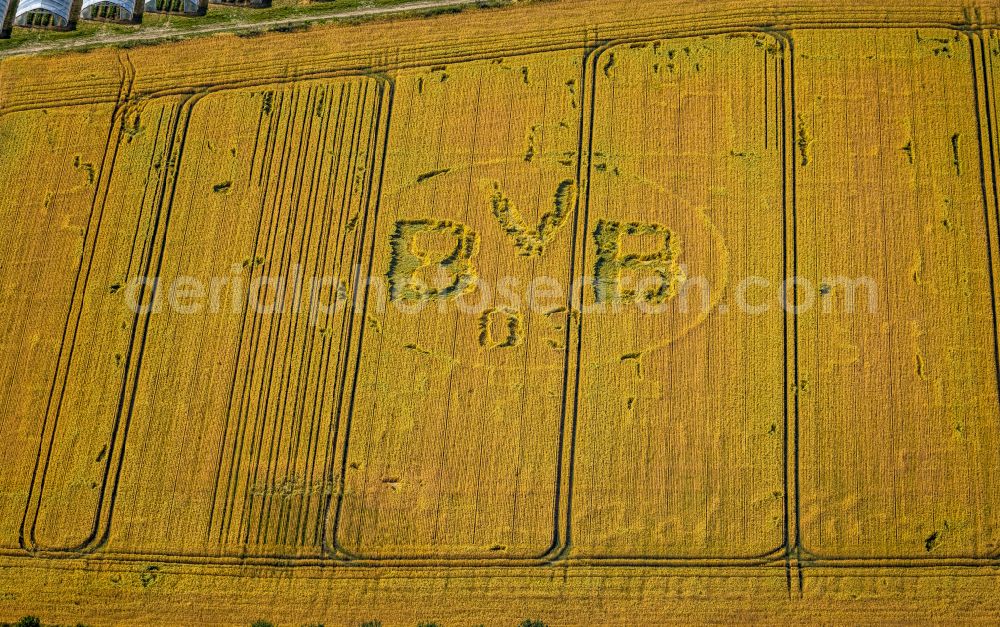 Aerial photograph Grevel - Structures on agricultural fields with BVB-Wappen in Grevel at Ruhrgebiet in the state North Rhine-Westphalia, Germany