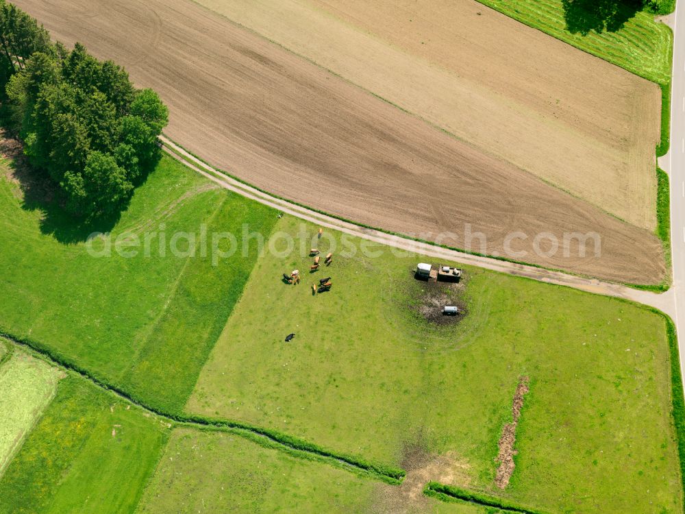 Aerial image Dentingen - Structures on agricultural fields in Dentingen in the state Baden-Wuerttemberg, Germany