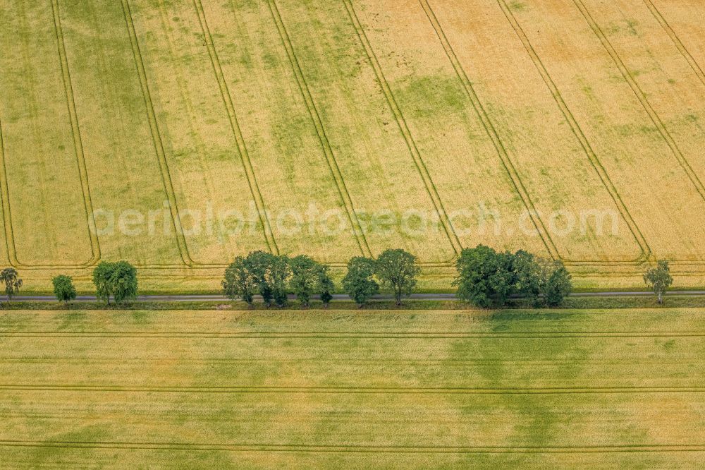 Aerial image Dorsten - Structures on agricultural fields in Dorsten at Ruhrgebiet in the state North Rhine-Westphalia, Germany