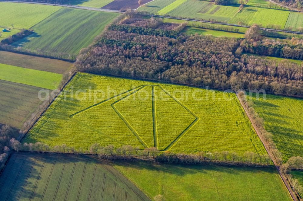 Aerial image Dorsten - Structures on agricultural fields in Dorsten at Ruhrgebiet in the state North Rhine-Westphalia, Germany