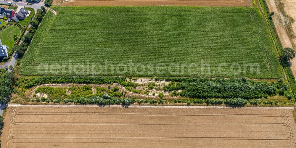 Aerial image Drensteinfurt - Structures on agricultural fields in Drensteinfurt in the state North Rhine-Westphalia, Germany