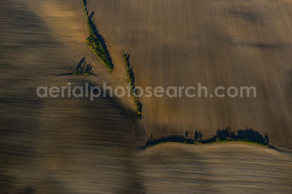 Aerial image Drosa - Structures on agricultural fields in Drosa in the state Saxony-Anhalt, Germany