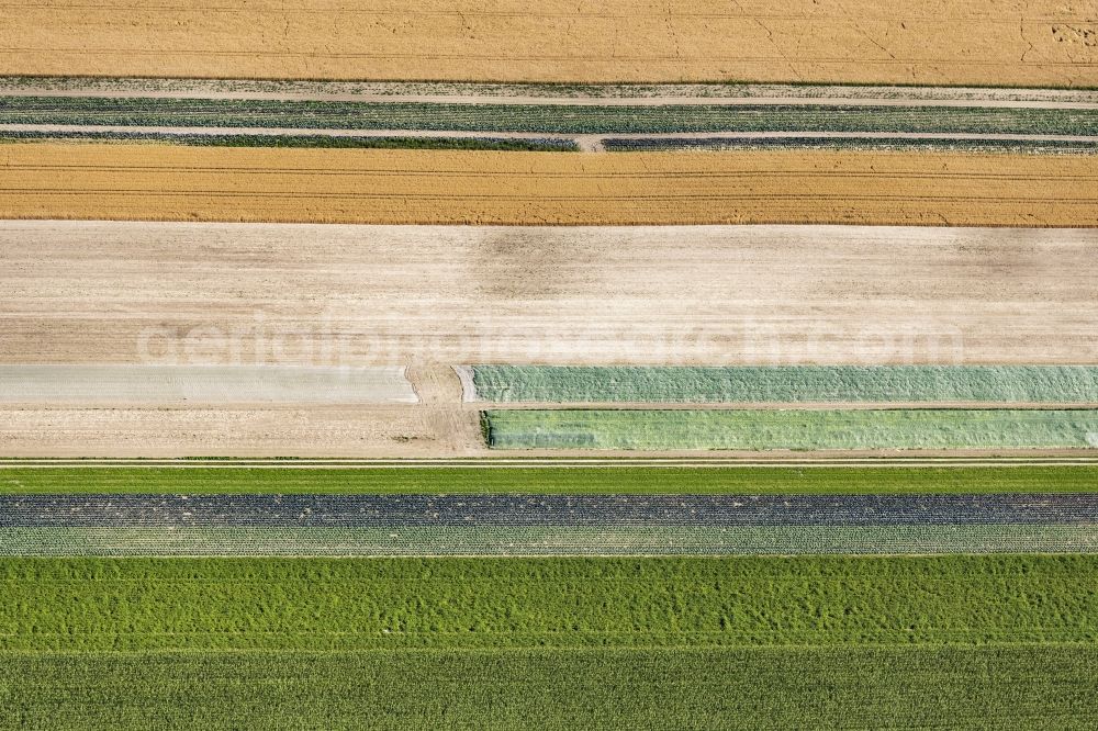 Eichenried from the bird's eye view: Structures on agricultural fields in Eichenried in the state Bavaria, Germany