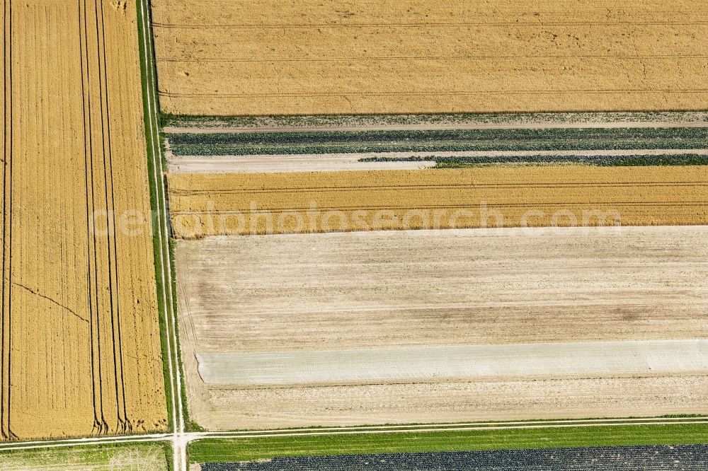 Aerial image Eichenried - Structures on agricultural fields in Eichenried in the state Bavaria, Germany