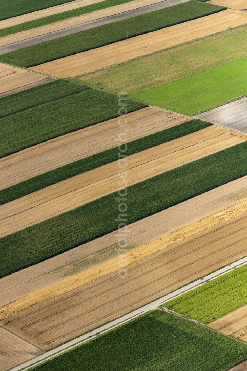 Eichenried from above - Structures on agricultural fields in Eichenried in the state Bavaria, Germany