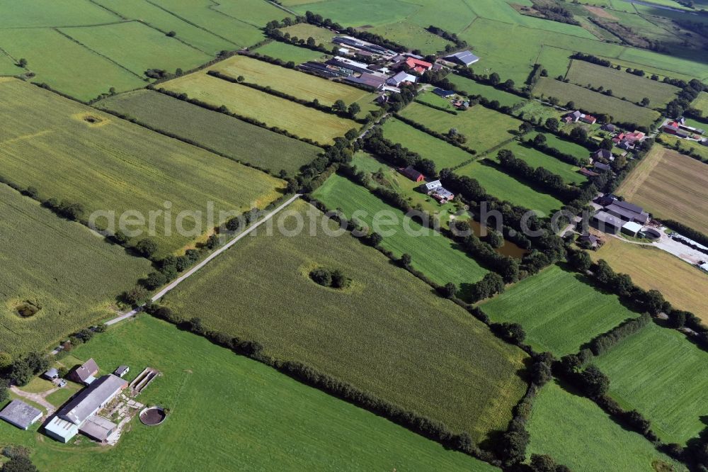 Aerial image Erfde - Structures on agricultural fields in Erfde in the state Schleswig-Holstein