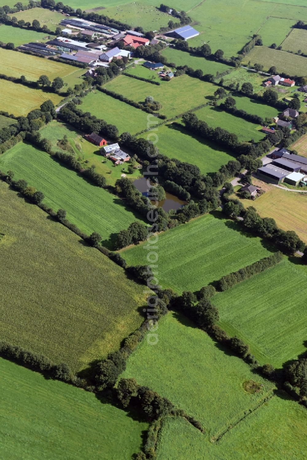 Aerial photograph Erfde - Structures on agricultural fields in Erfde in the state Schleswig-Holstein