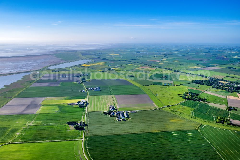 Fahretoft from the bird's eye view: Structures on agricultural fields in Fahretoft in the state Schleswig-Holstein, Germany