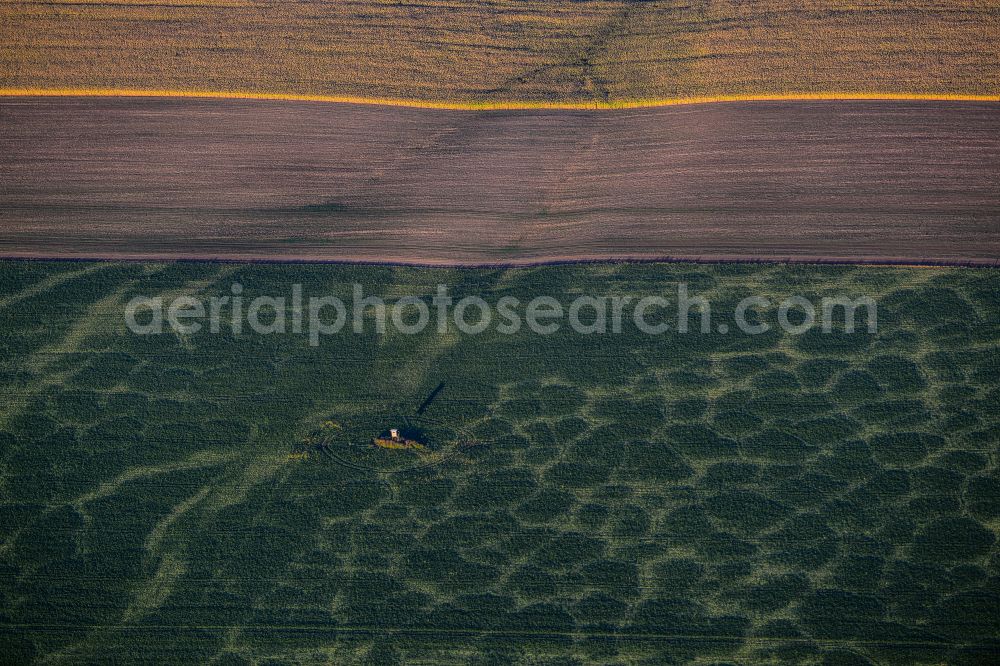 Aerial image Fienstedt - Structures on agricultural fields in Fienstedt in the state Saxony-Anhalt, Germany