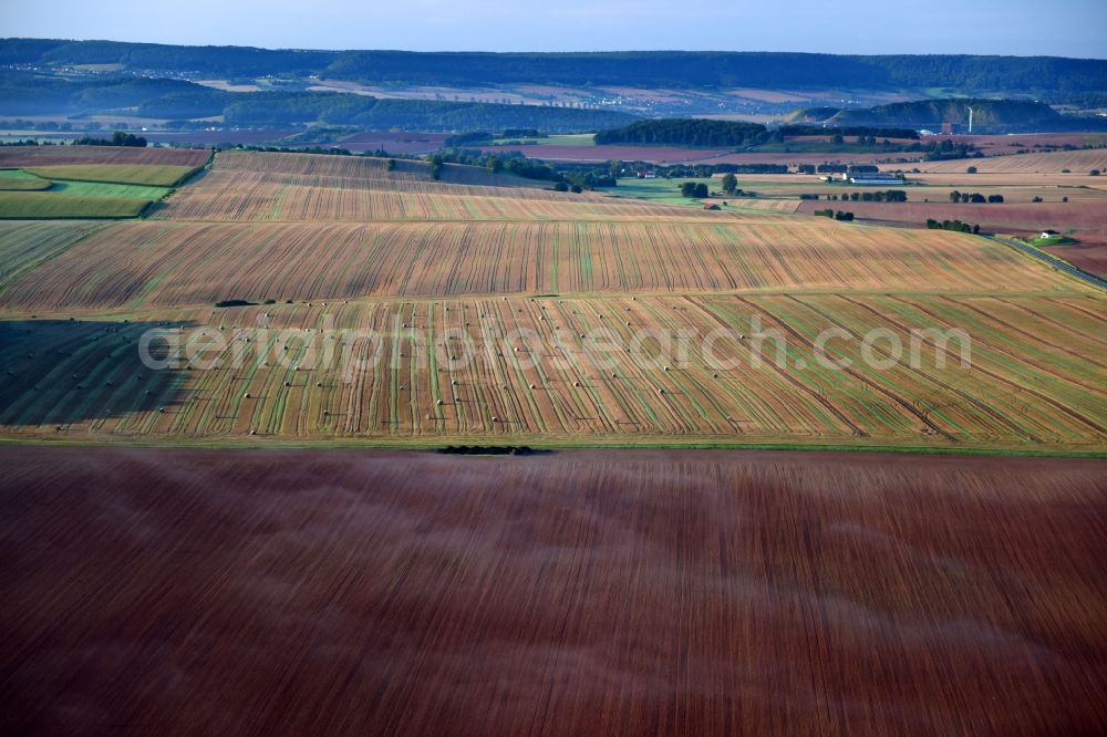 Aerial photograph Friedrichsthal - Structures on agricultural fields in Friedrichsthal in the state Thuringia, Germany