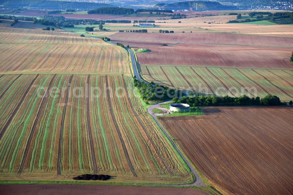 Friedrichsthal from the bird's eye view: Structures on agricultural fields in Friedrichsthal in the state Thuringia, Germany