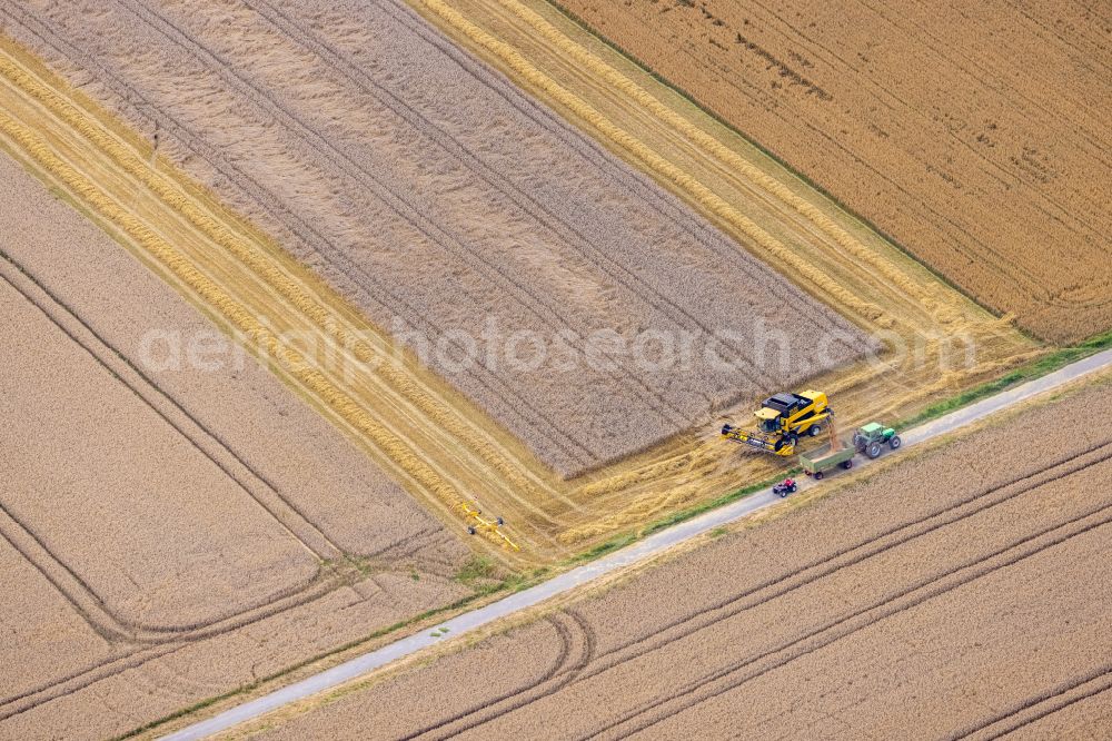 Aerial photograph Frohnhausen - Structures on agricultural fields in Frohnhausen in the state North Rhine-Westphalia, Germany