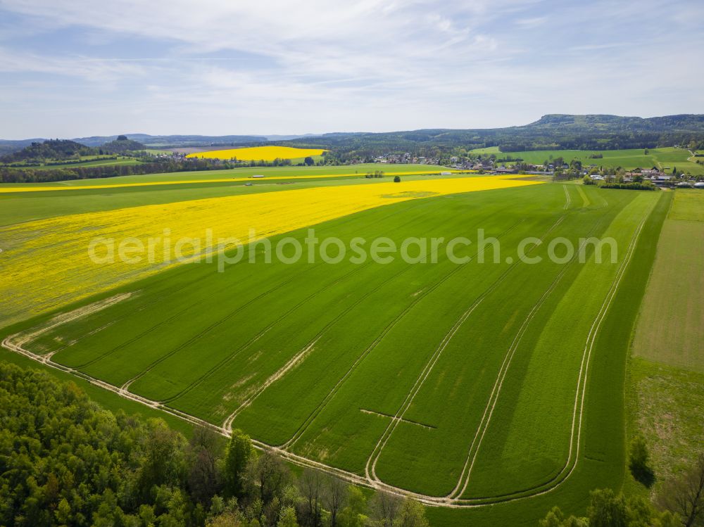 Reinhardtsdorf from above - Structures on agricultural fields on Fusse of Ensembles Kaiserkrone, Zirkelstein and den Zschirnsteinen in Reinhardtsdorf Saechsischen Schweiz in the state Saxony, Germany