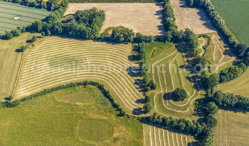 Hamm from above - Structures on agricultural fields in the area Donauer Bach in the district Westerboenen in Hamm in the state North Rhine-Westphalia, Germany