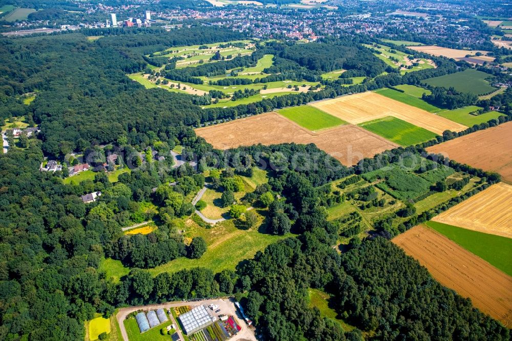 Gelsenkirchen from the bird's eye view: Structures on agricultural fields on Buerschen Forest bow on the site of the former children's hospital at the Westerholter street in Gelsenkirchen in North Rhine-Westphalia