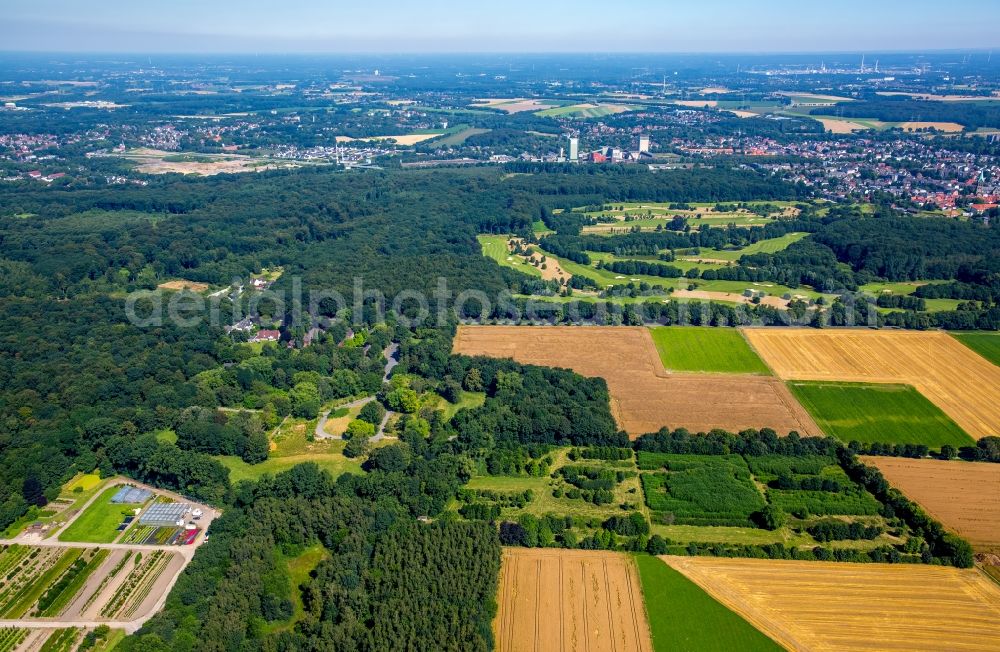 Aerial photograph Gelsenkirchen - Structures on agricultural fields on Buerschen Forest bow on the site of the former children's hospital at the Westerholter street in Gelsenkirchen in North Rhine-Westphalia